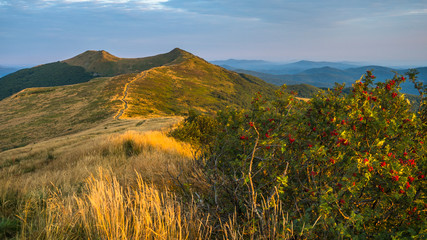Awesome mountain landscape. Bieszczady Mountains. Poland