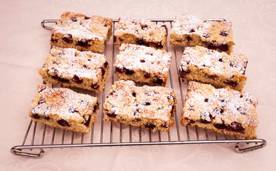 Slice of cherry Crumb cake on a oven shelf