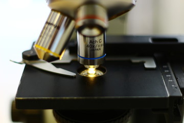 Fototapeta na wymiar Microscope and histological and histological specimen