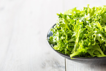 Fresh salad endivia in black bowl on wooden table