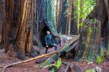 Small man, big trees