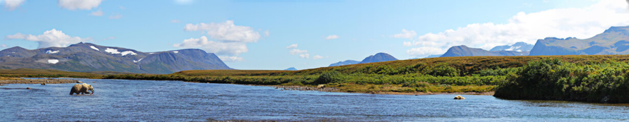 Panaroma landschaft Alaska mit Fluss und Grizzly