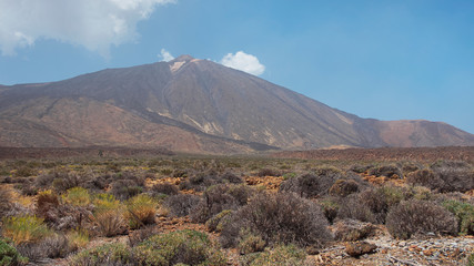 Classic destination scenic view of Pico del Teide in Las Canadas del Teide or Teide National Park, the highest volcanic peak in Spain, surrounded by fresh endemic vegetation, Tenerife, Canary Islands
