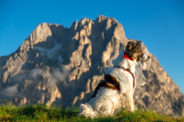 Il Corno Grande - Gran Sasso