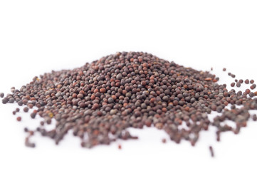 MUSTARD ON WHITE BACKGROUND