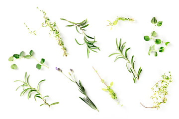 The herbs of Provence. Rosemary, oregano, lavender, thyme, and marjoram, overhead shot on a white background © laplateresca