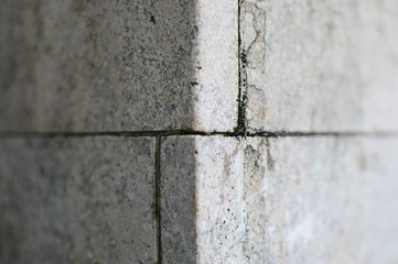 コンクリートの柱の角で光と影に分かれている