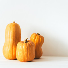 Authentic rustic pumpkin of different shapes with flaws , scratches and imperfections on white background,Fall background, harvest Season, Soft light, warm pastel colors