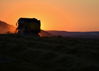 sunset in desert