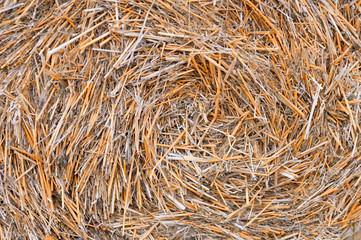 haystack pattern close up, agriculture, the village