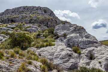 Scenic view at landscape on Serra de Tramuntana in the north of mallorca between Lluc and Sa Calobra