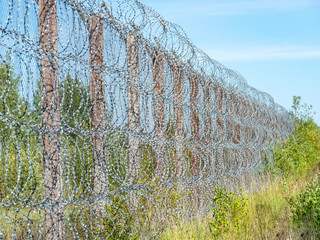 Fototapeta premium Fragment of barbed wire mounted above prison fence, Rummu quarry, Estonia