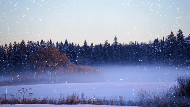 winter landscape with trees and snowfall
