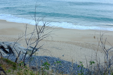 Noosa National Park, Palm Grove Circuit, Noosa Heads QLD