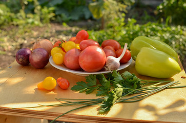 Still life of fresh summer vegetables. Photo taken on a farm on a sunny summer day in the garden. On one dish are several types of tomatoes, peppers, herbs, onions, a chapel.