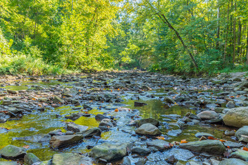 Naklejka premium Peaceful stream with rocks running through forest