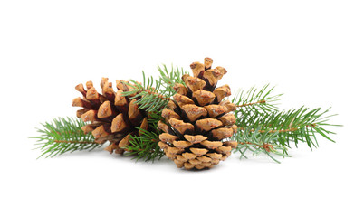 Fir tree branches and pine cones on white background - obrazy, fototapety, plakaty
