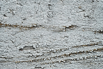 knots on an old wooden surface. wood texture. the background.
