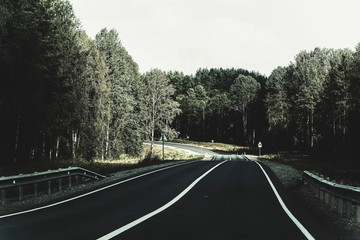 Obraz premium Road in the forest turns road signs