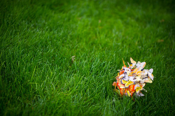 artificial bride s bouquet of artificial butterflies lies on a lawn