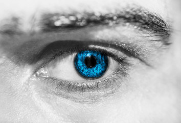 eye macro blue pupil