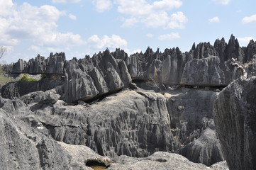 Fototapeta na wymiar Madagascar, Tsingy de Bémaraha