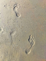 Foot step on sandy beach