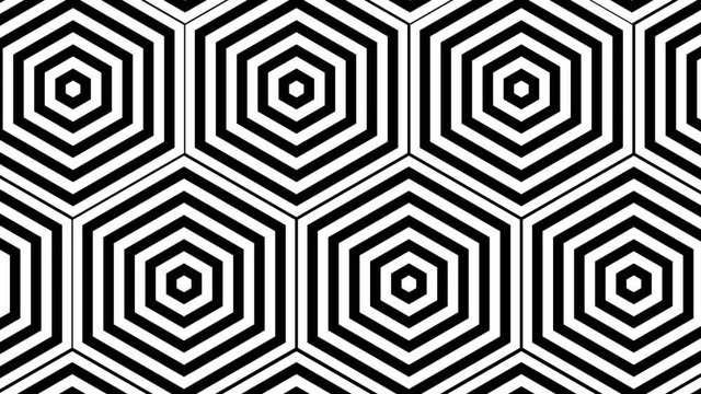 Black and white hexagon wall