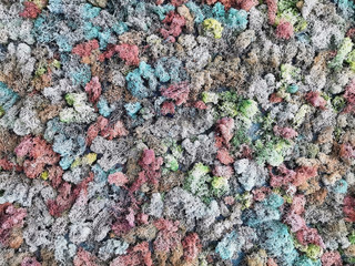 Colored moss background texture
