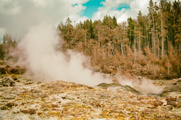 Geysers of Yellowstone Naional Park