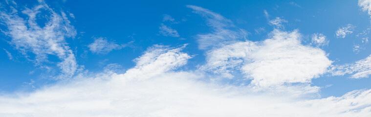 panoramic blue sky and clear cloud  in summertime beautiful background