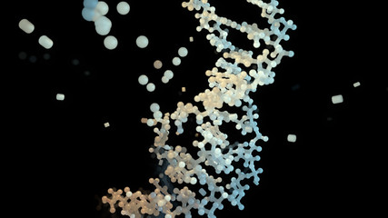 DNA Damage and Mutations