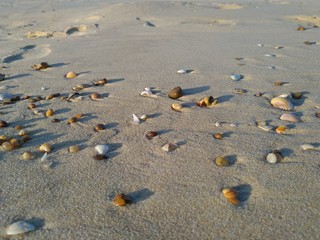 pebbles on beach