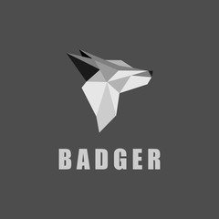 BADGER FOX