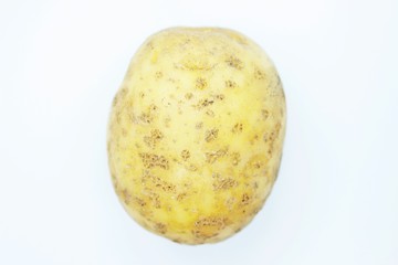 Ripe Potato Tuber located on a white background