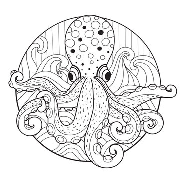 Hand drawn sketch illustration of octopus for adult coloring book.