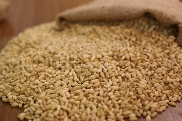 Beans,Pulses,Lentils,Rice and Wheat grains in bowl
