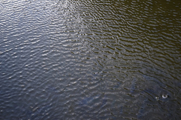 Wave Water flow In the river