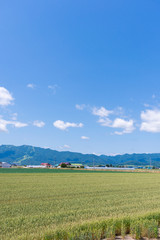 北海道富良野 穀倉地帯を行く