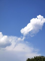 Obraz premium clouds in the sky