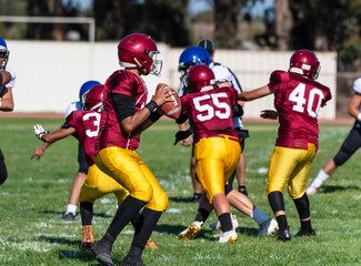 Football quaterback in red and gold uniform reading the defense from the protection of the pocket created by offensive line during pass play.