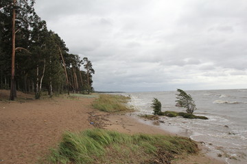 Komarovo beach