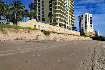 Example of severe beach erosion on Singer Island, Florida, following Hurricane Dorian.  All seaweed...