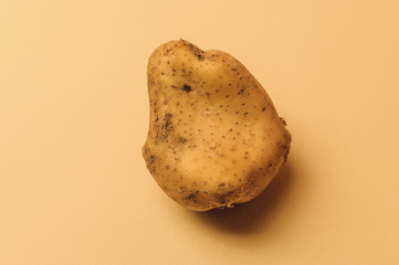Ugly mutant odd organic big potato jagged on beige background. Rejected food in stores shops...