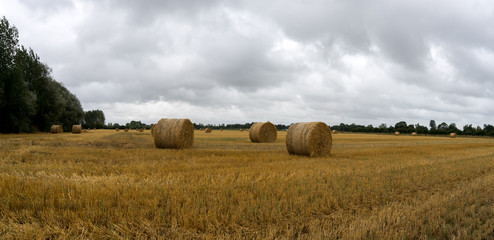 golden hay and straw bales on a large farm field under an overcast sky