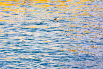 background of water in the sea