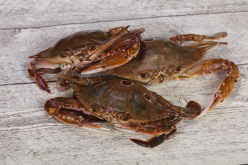 Raw crab - ready for cooking