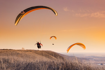 paragliders