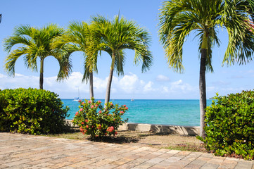 beach boulevard in saint crox ,USVI  caribbean