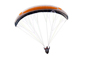 Beautiful paraglider in flight. isolated - obrazy, fototapety, plakaty